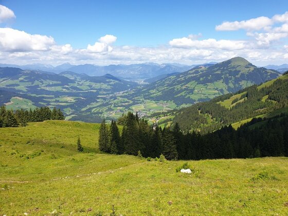 Blick von einer grünen Almwiese auf ein bewaldetes Tal und entfernte Berggipfel unter blauem Himmel.