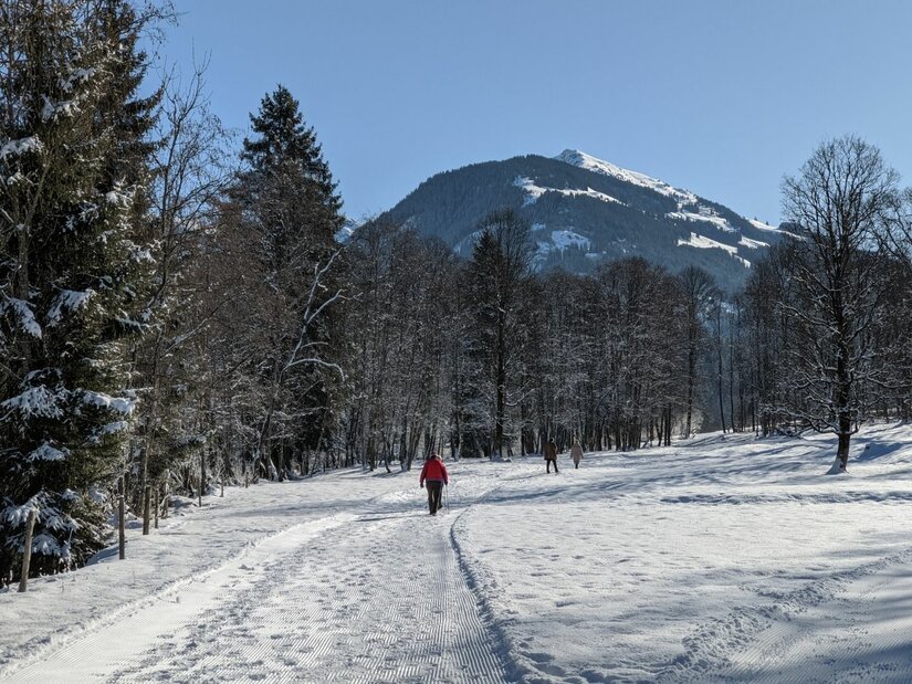 Person auf einem verschneiten Wanderweg vor einem bewaldeten Berg unter blauem Himmel.