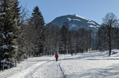 Person auf einem verschneiten Wanderweg vor einem bewaldeten Berg unter blauem Himmel.