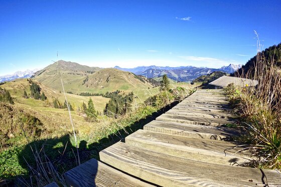 Aussicht beim Alpenhaus Bichalm Holzstufen führen zu einem Aussichtspunkt mit Blick auf grüne Almen und entfernte Berggipfel unter blauem Himmel.