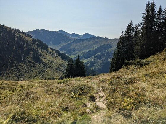 Wanderweg am Gebra Schmaler Bergpfad führt durch eine alpine Graslandschaft mit Blick auf bewaldete Hänge und ferne Berggipfel.