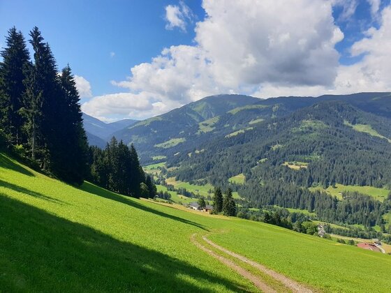 Almwiese bei der Choralpe Grüne Almwiese mit einem Feldweg vor bewaldeten Bergen unter blauem Himmel mit Wolken.