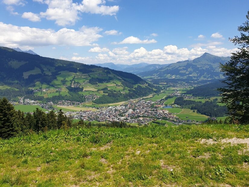 Blick von einer Almwiese auf eine Ortschaft im Tal, umgeben von bewaldeten Bergen unter blauem Himmel.