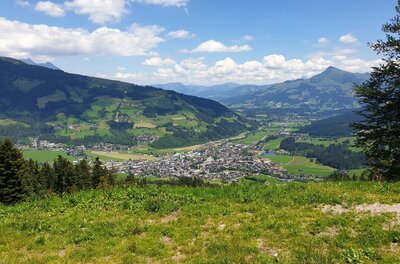 Blick von einer Almwiese auf eine Ortschaft im Tal, umgeben von bewaldeten Bergen unter blauem Himmel.
