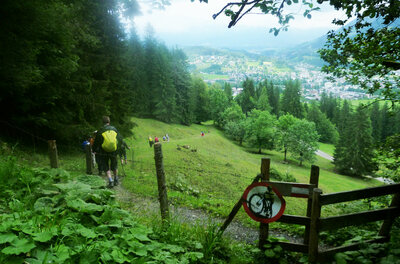Wanderer auf einem schmalen Pfad neben einem Holzzaun mit Blick auf eine Wiese und ein Tal.
