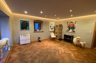 Ein helles Zimmer mit Holzboden, Kunstwerken an den Wänden und zwei kleinen Hunden. In der Ecke steht ein Bücherregal und ein weiterer Stuhl.