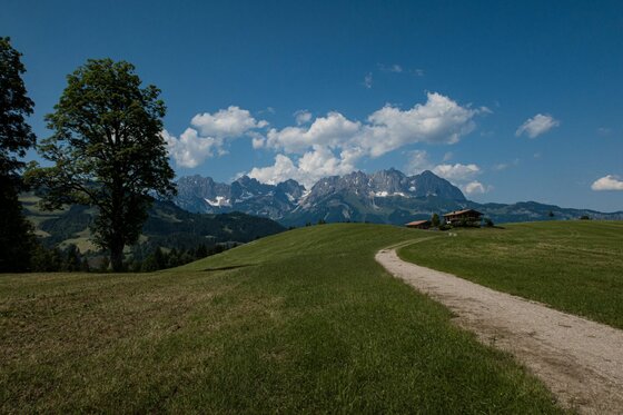 Schotterweg auf einer grünen Almwiese mit Blick auf ein schroffes Gebirgsmassiv unter blauem Himmel.