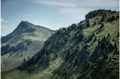 Grüne, bewaldete Berghänge unter blauem Himmel in den Kitzbüheler Alpen.