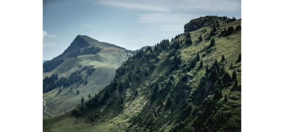 Kulinarische Höhenwanderung Grüne, bewaldete Berghänge unter blauem Himmel in den Kitzbüheler Alpen.