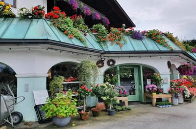 Eingangsbereich eines Blumengeschäfts mit zahlreichen Topfpflanzen und blumengeschmücktem Vordach.