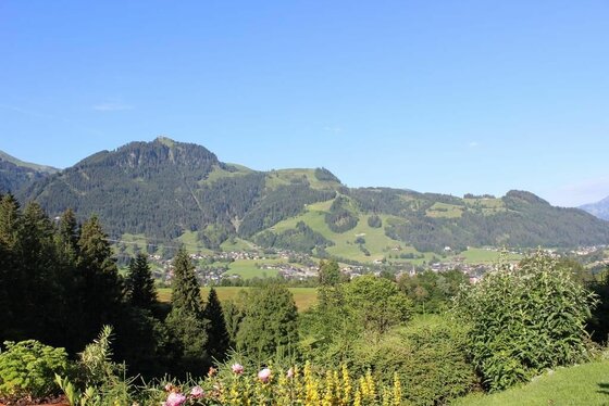 Blick auf Kitzbühel Blick über bewaldete Hänge und grüne Wiesen auf eine Siedlung im Tal vor bewaldeten Bergen unter blauem Himmel.