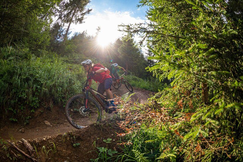 Zwei Mountainbiker fahren auf einem schmalen Waldpfad durch eine Kurve bei Sonnenschein.