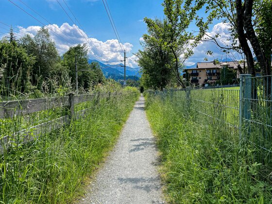 Malern Walk Wanderweg Schmaler Schotterweg zwischen Holzzaun und Metallzaun mit hohem Gras unter blauem Himmel.