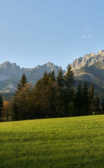 Natur pur