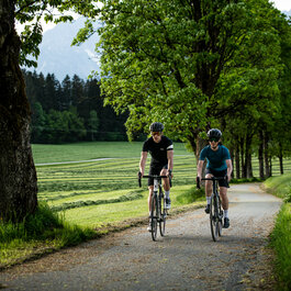 Römerweg in Kitzbühel, zwei Radfahrer genießen frühlingshafte Landschaft mit grünen Bäumen und sanften Hügeln.