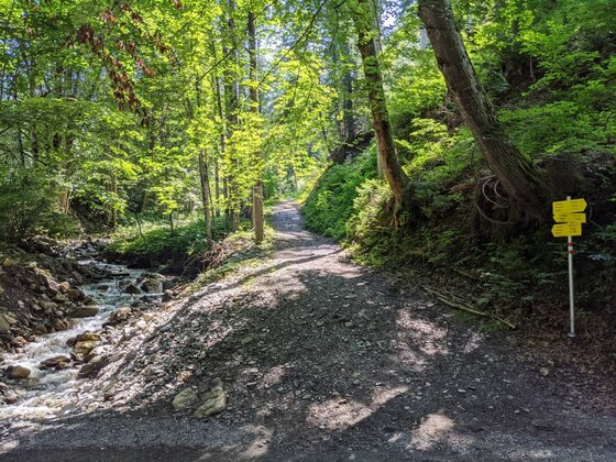Schotterweg im Wald neben einem Bachlauf mit gelben Wegweisern.