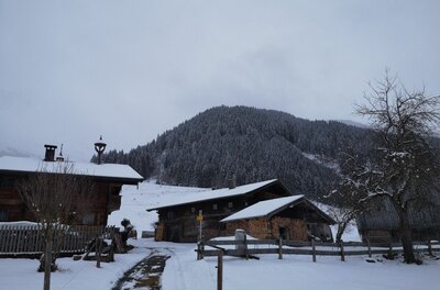 Verschneite Holzhäuser vor einem bewaldeten Berg unter grauem Himmel.
