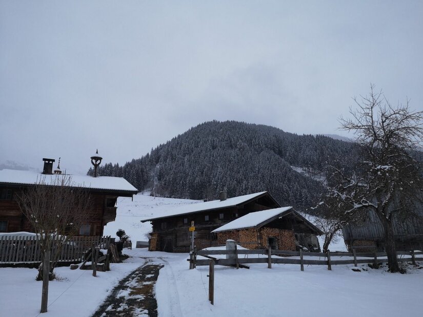 Winterliche Almsiedlung am Auweg Verschneite Holzhäuser vor einem bewaldeten Berg unter grauem Himmel.