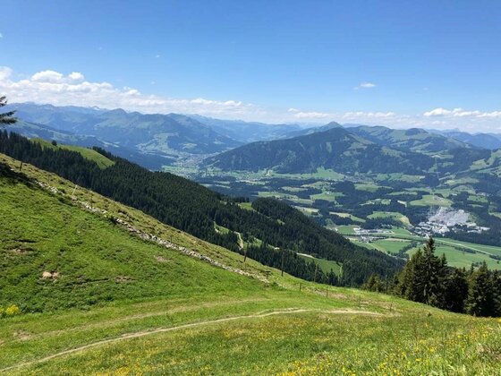 Aussicht vom Harschbichl Blick von einem grünen Berghang auf ein bewaldetes Tal und entfernte Berggipfel unter blauem Himmel.