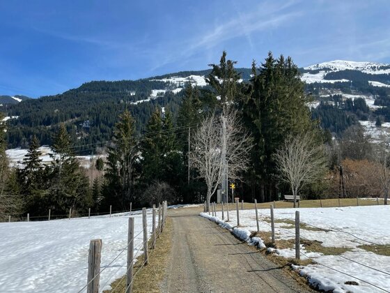 Wanderweg im Winter Schotterweg zwischen schneebedeckten Wiesen mit Holzzaun und Blick auf bewaldete Berge.