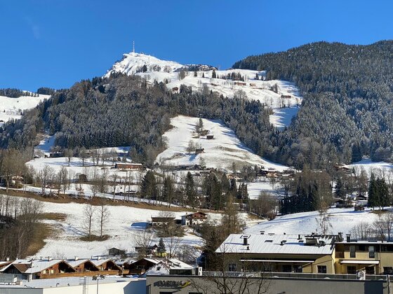 Winterliche Berglandschaft bei Haus Ingrid Blick auf einen verschneiten Berghang mit Häusern, Nadelwald und einer Sendeanlage auf dem Gipfel unter blauem Himmel.