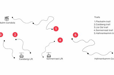 Schematische Karte von Mountainbike-Trails und Bergbahnen mit nummerierten Markierungen auf weißem Hintergrund.