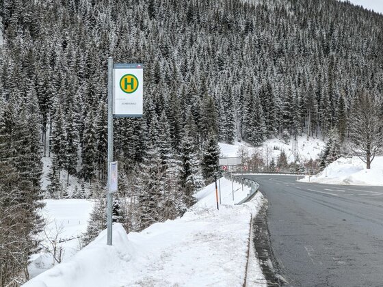 Bushaltestelle im Winter Bushaltestellenschild an einer schneebedeckten Landstraße vor einem Nadelwald.