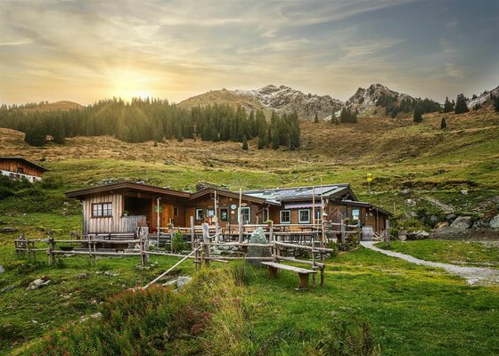 Hochwildalm im Sommer Rustikale Holzhütte mit Terrasse vor bewaldeten Hängen und felsigen Berggipfeln bei tiefstehender Sonne.