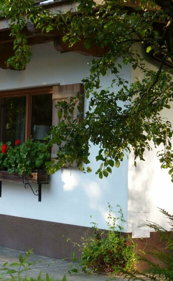 Garten 4