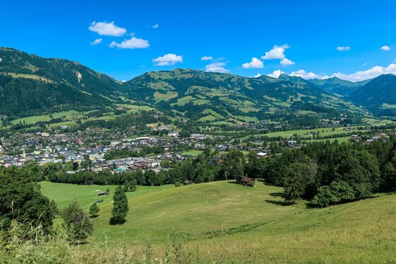 Blick von einer grünen Wiese auf eine Ortschaft im Tal vor bewaldeten Bergen unter blauem Himmel.