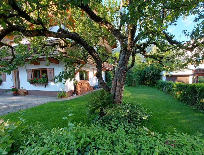 Ein Wohnhaus mit weißer Fassade, Holzbalkonen und einem großen Baum im grünen Garten.