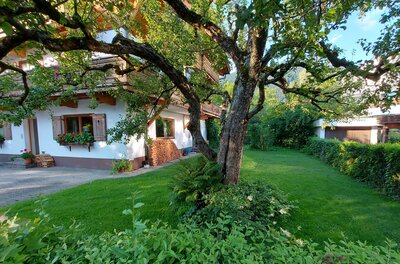 Garten der Ferienwohnung Ritter Ein Wohnhaus mit weißer Fassade, Holzbalkonen und einem großen Baum im grünen Garten.