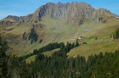 Blick auf einen grasbewachsenen Berggipfel mit Felswänden, Nadelwald im Vordergrund und Almhütten am Hang.