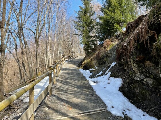 Ein befestigter Wanderweg mit Holzgeländer führt durch einen lichten Wald mit Schneeresten am Wegrand.