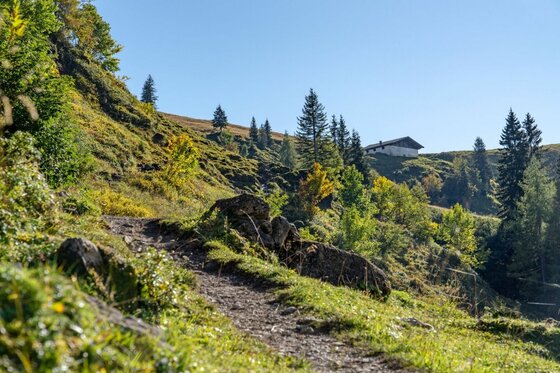 Schmaler Wanderweg führt einen grasbewachsenen Hang hinauf zu einer Almhütte unter blauem Himmel.