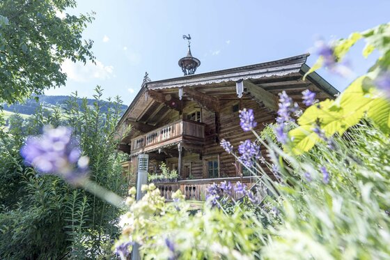 Traditionelles Holzhaus mit Balkon hinter blühendem Lavendel unter blauem Himmel.