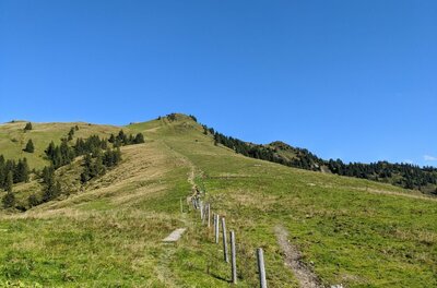 Ein schmaler Wanderpfad führt über einen grasbewachsenen Bergrücken mit Weidezaun unter blauem Himmel bergauf.