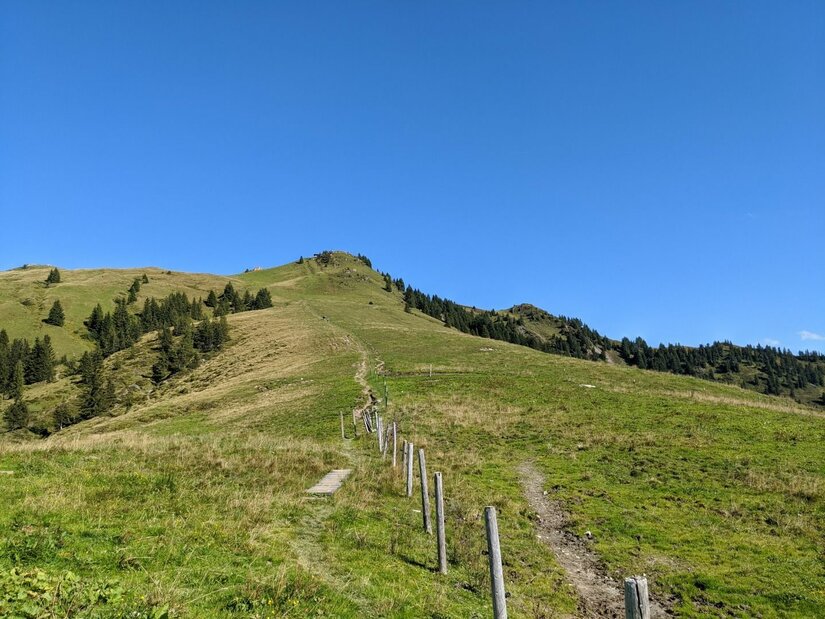 Ein schmaler Wanderpfad führt über einen grasbewachsenen Bergrücken mit Weidezaun unter blauem Himmel bergauf.