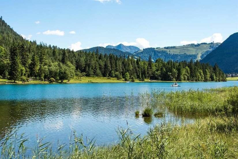 Ein ruhiger See umgeben von grünen Wäldern und Bergen. Der Himmel ist blau und klar, ideal für einen entspannten Tag in der Natur.