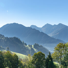 Ein atemberaubendes Bergpanorama mit sanften Hügeln und dichten Wäldern unter einem klaren blauen Himmel.