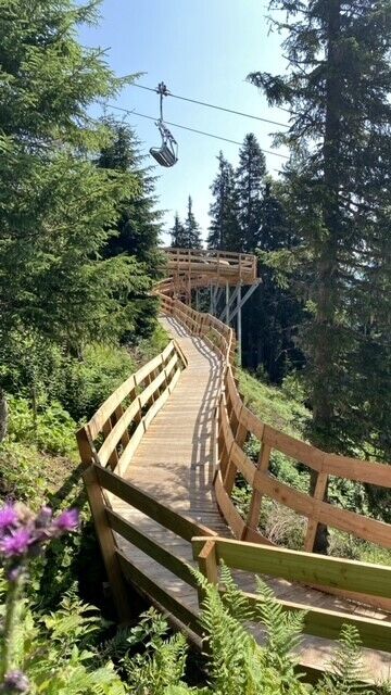 Lower Streiteck Trail Holzsteg Ein hölzerner Steg führt durch einen Nadelwald, darüber verläuft ein Sessellift.